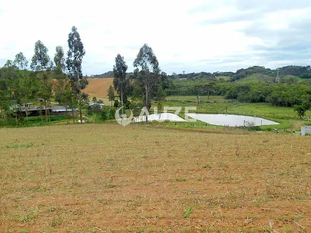 Sítio com 200m² 3 quartos e 2 banheiros, à venda, no bairro Areia Branca dos Assis em Mandirituba