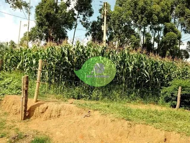 Sítio com 484000m² 2 quartos e 2 banheiros, à venda, no bairro Leites em Piedade
