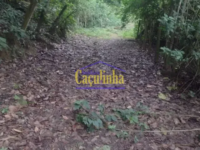 Sítio com 1m², à venda, no bairro Zona Rural em Piraí