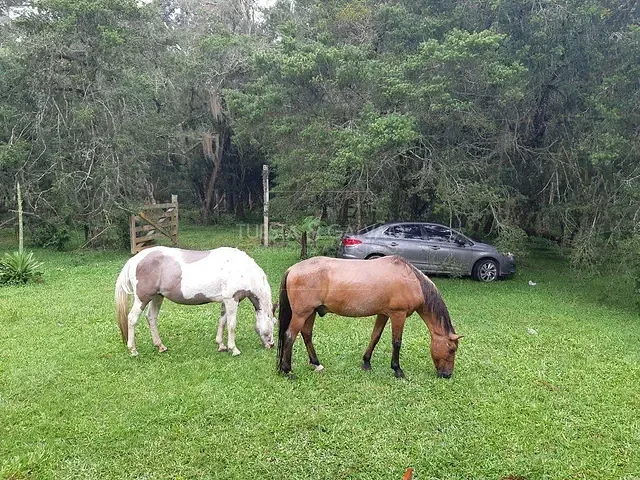 Sítio à venda, no bairro Estação em Araucária