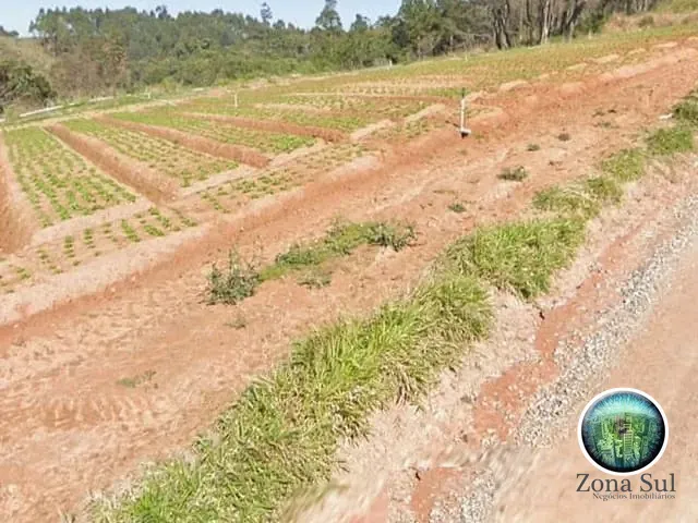 Sítio com 89500m² 1 quarto e 1 banheiro, à venda, no bairro Sarapuí dos Luzes em Piedade