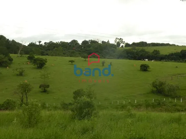 Sítio com 363000m², à venda, no bairro Cruz das Almas em Porto Feliz