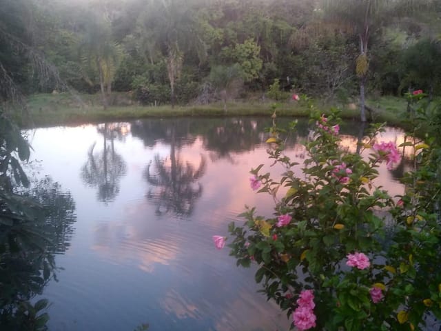 Foto do Sítio - Sítio 10 alqueires para cria de gado em  Luziânia, GO | M360 Imóveis