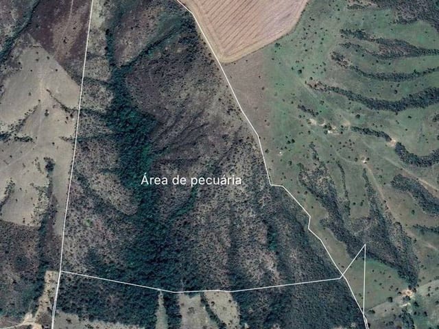 Foto do Sítio - Sítio 10 alqueires para cria de gado em  Luziânia, GO | M360 Imóveis