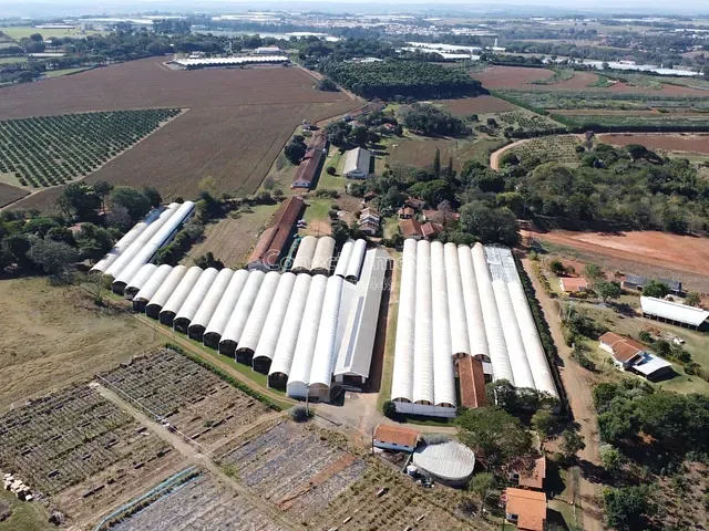 Sítio com 25039m² 8 quartos e 6 banheiros, à venda, no bairro Área Rural de Holambra em Holambra