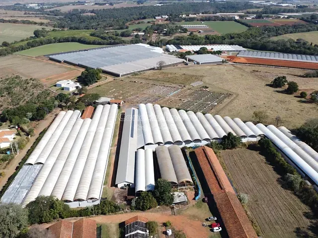 Sítio com 25039m² 8 quartos e 6 banheiros, à venda, no bairro Área Rural de Holambra em Holambra