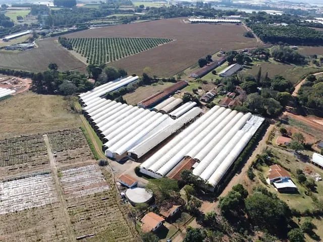 Sítio com 25039m² 8 quartos e 6 banheiros, à venda, no bairro Área Rural de Holambra em Holambra