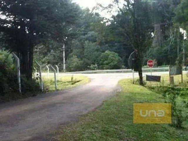 Sítio à venda, no bairro Campininha em Quatro Barras