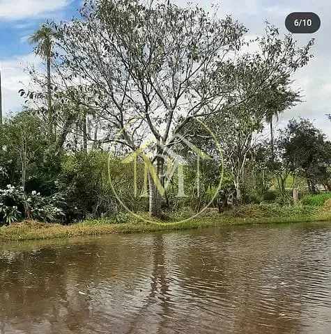 Sítio, 5 quartos, 7 hectares - Foto 16