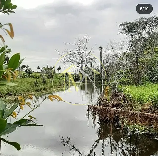 Sítio, 5 quartos, 7 hectares - Foto 13