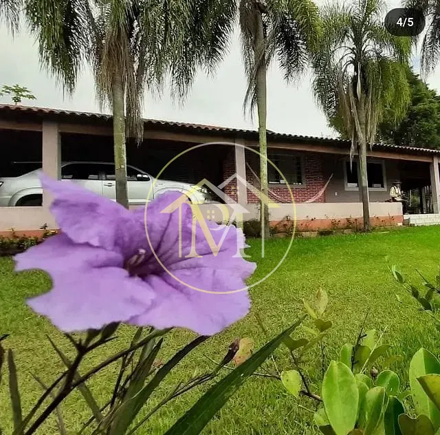 Sítio, 5 quartos, 7 hectares - Foto 11