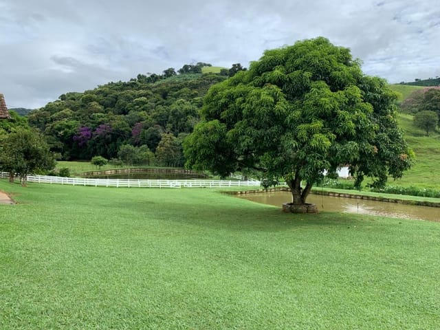 Foto do Sítio - Sítio à venda 110000M², Sertãozinho, Pedralva - MG | MOHALLEM e LOPES CORRETAGEM E ADMINISTRACAO DE IMOVEIS LTDA