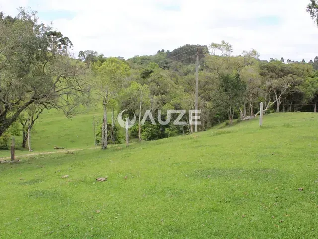 Sítio à venda, no bairro Campo Magro em Campo Magro