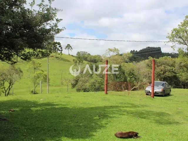 Sítio à venda, no bairro Campo Magro em Campo Magro