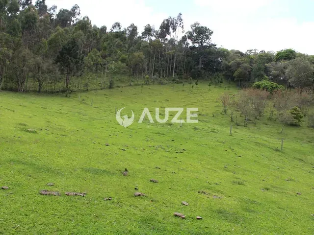Sítio à venda, no bairro Campo Magro em Campo Magro