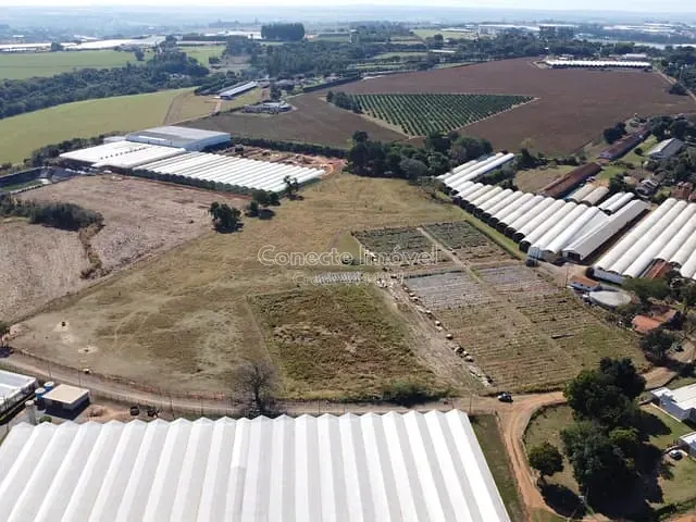 Sítio com 40000m², à venda, no bairro Área Rural de Holambra em Holambra