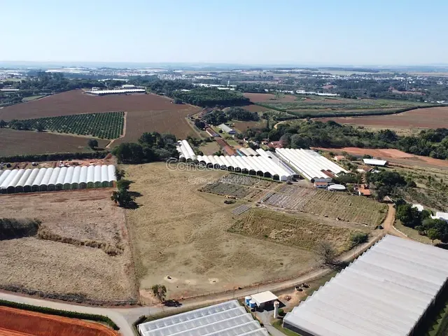Sítio com 40000m², à venda, no bairro Área Rural de Holambra em Holambra