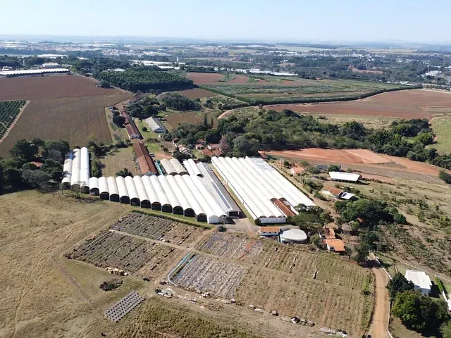 Sítio com 40000m², à venda, no bairro Área Rural de Holambra em Holambra