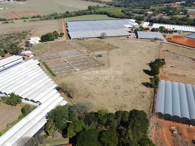 Sítio com 40000m², à venda, no bairro Área Rural de Holambra em Holambra
