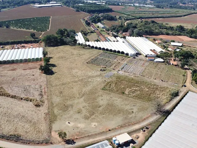 Sítio com 40000m², à venda, no bairro Área Rural de Holambra em Holambra