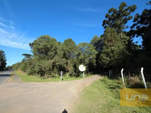 Sítio à venda, no bairro Campininha em Quatro Barras
