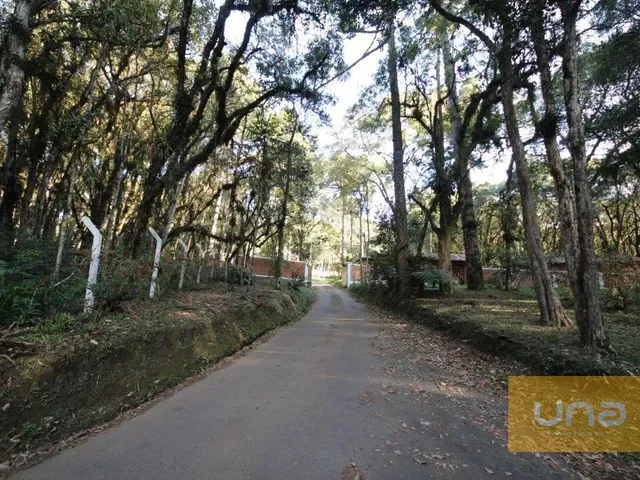 Sítio à venda, no bairro Campininha em Quatro Barras