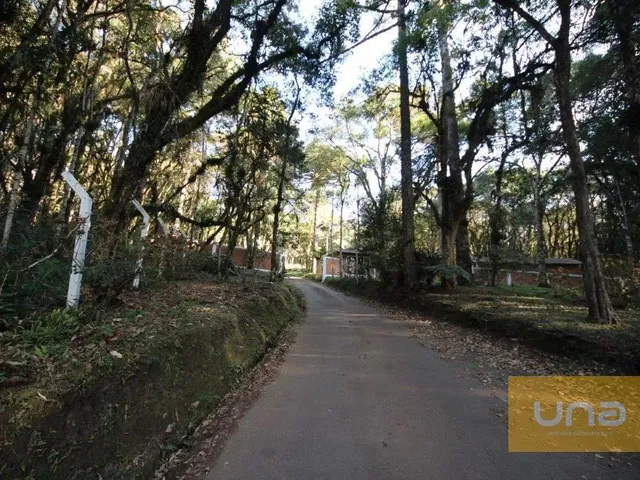 Sítio à venda, no bairro Campininha em Quatro Barras