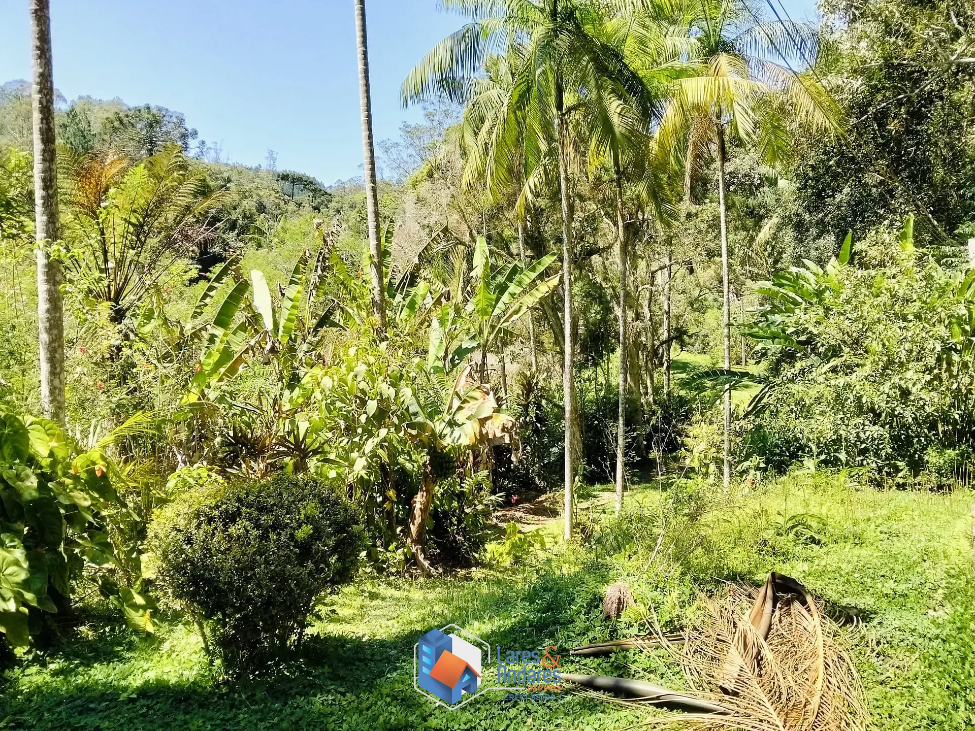Sítio, 3 quartos, 4 hectares - Foto 4