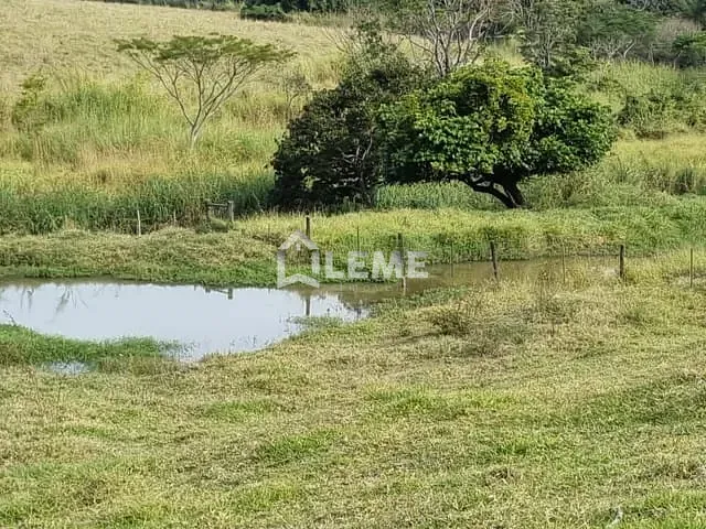 Sítio com 435600m², à venda, no bairro Vila Lambari em Mococa