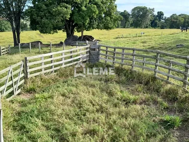 Sítio com 435600m², à venda, no bairro Vila Lambari em Mococa
