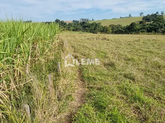Sítio com 435600m², à venda, no bairro Vila Lambari em Mococa