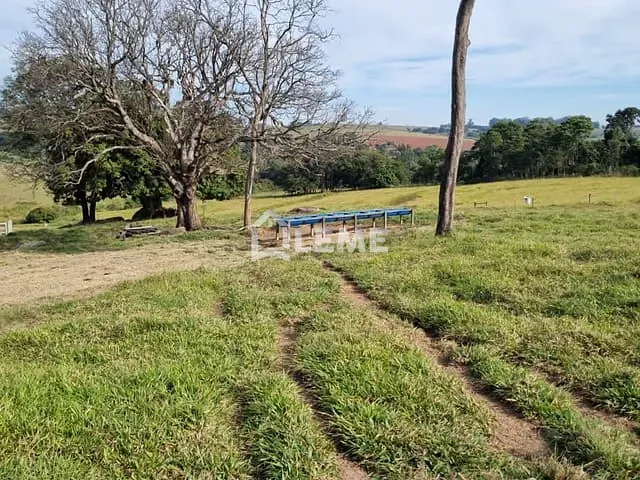 Sítio com 435600m², à venda, no bairro Vila Lambari em Mococa