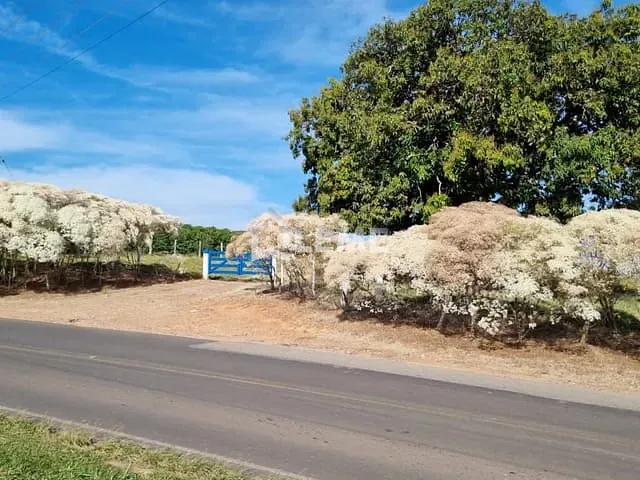 Sítio com 435600m², à venda, no bairro Vila Lambari em Mococa