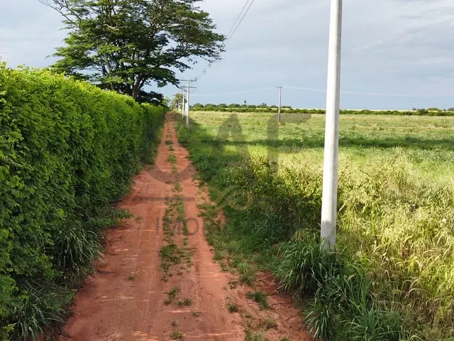 Sítio com 63646m², à venda, no bairro Área Rural de Artur Nogueira em Artur Nogueira