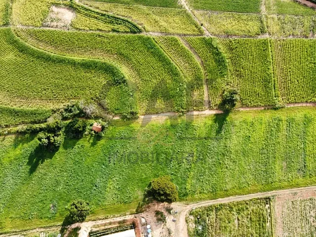 Sítio com 63646m², à venda, no bairro Área Rural de Artur Nogueira em Artur Nogueira