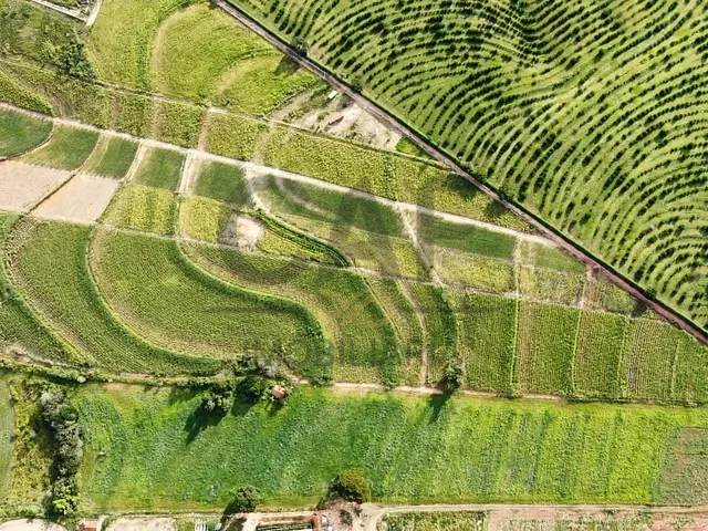 Sítio com 63646m², à venda, no bairro Área Rural de Artur Nogueira em Artur Nogueira