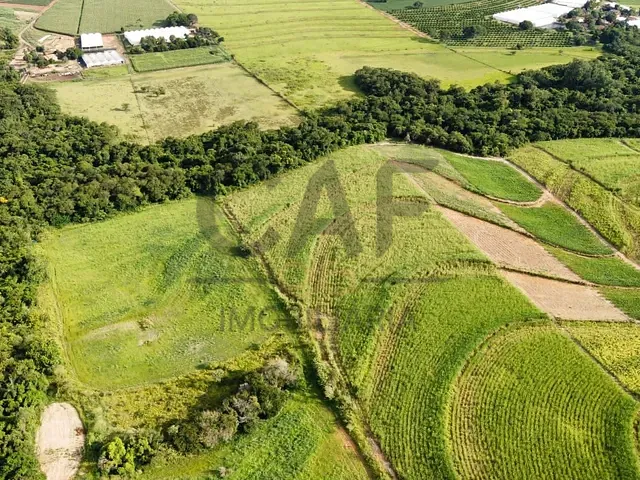 Sítio com 63646m², à venda, no bairro Área Rural de Artur Nogueira em Artur Nogueira