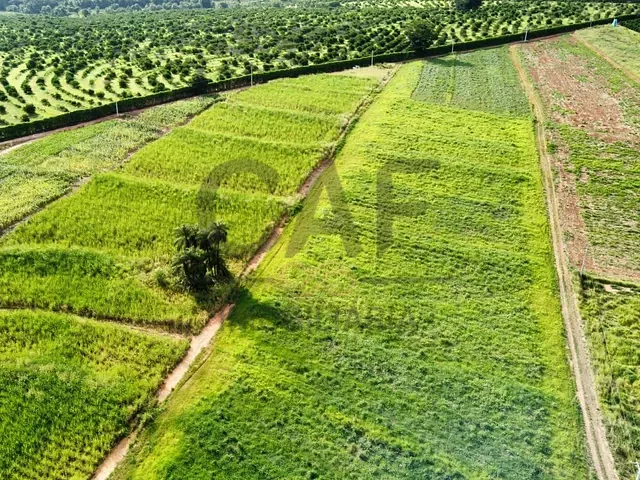 Sítio com 63646m², à venda, no bairro Área Rural de Artur Nogueira em Artur Nogueira