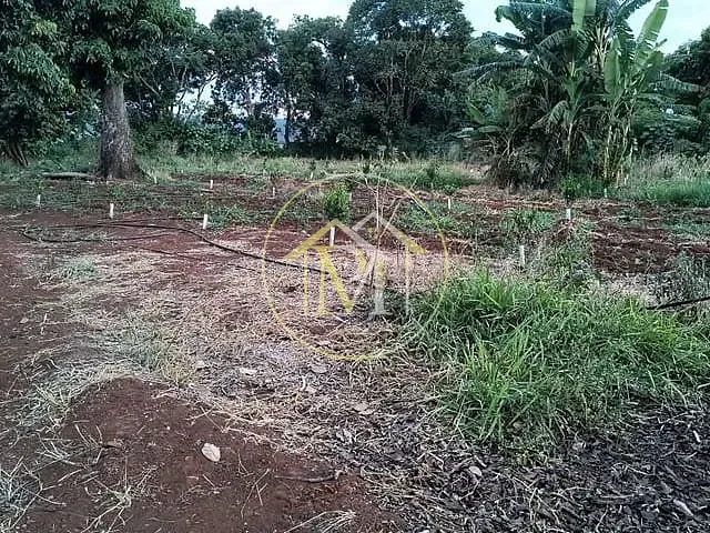 Sítio com 43000m² 2 quartos e 1 banheiro, à venda, no bairro Estrada da Barra em Araçoiaba da Serra