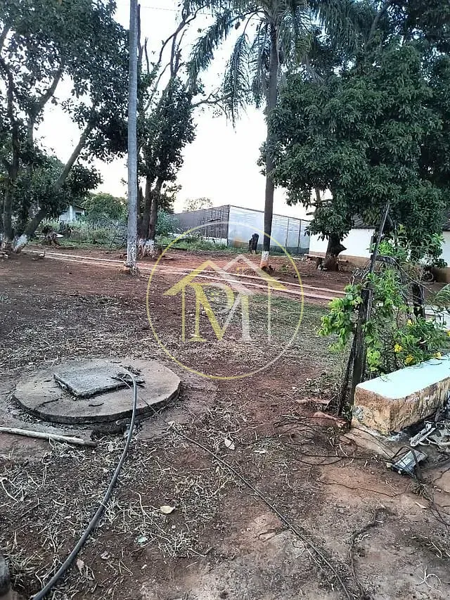 Sítio, 2 quartos, 4 hectares - Foto 6