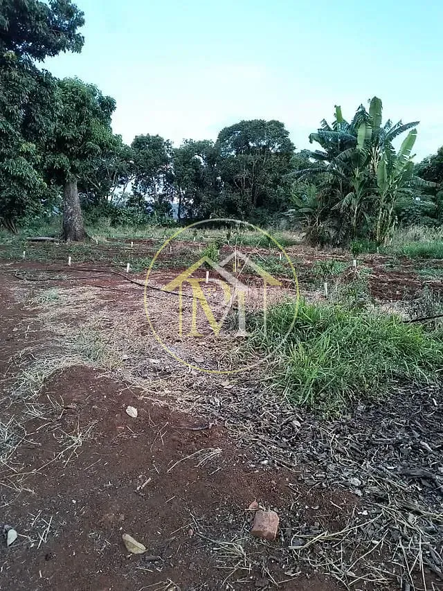 Sítio, 2 quartos, 4 hectares - Foto 4