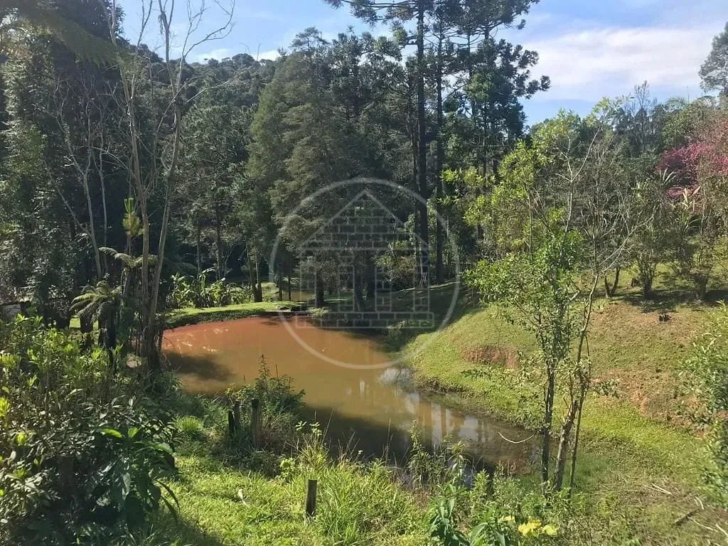 Fazenda, 34 hectares - Foto 8
