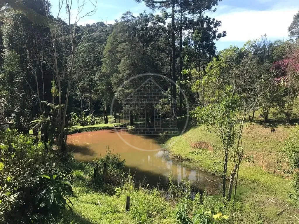 Fazenda, 34 hectares - Foto 12