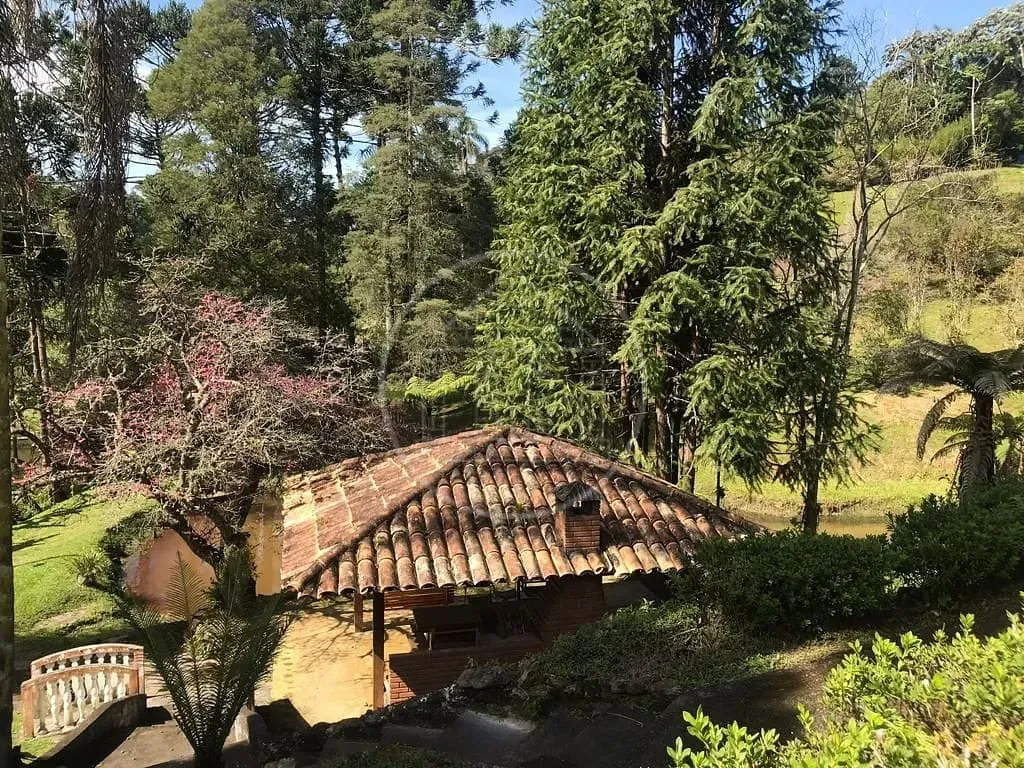Fazenda, 34 hectares - Foto 15