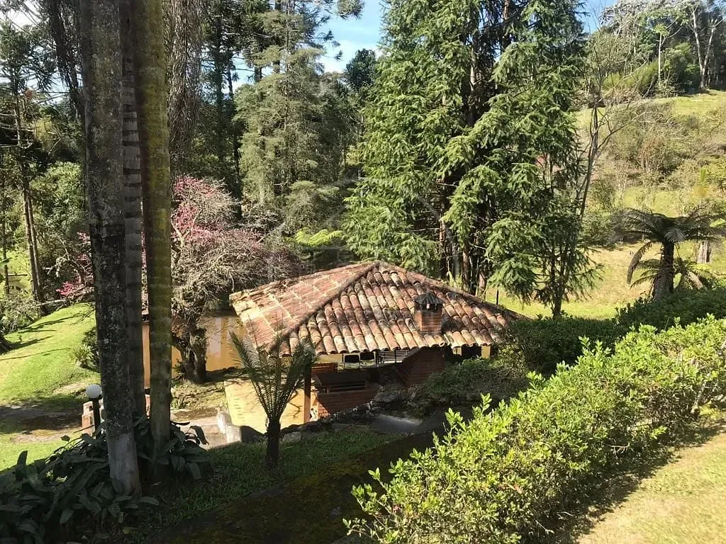 Fazenda, 34 hectares - Foto 16