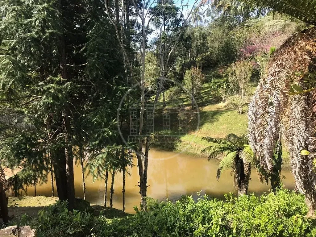 Fazenda, 34 hectares - Foto 14