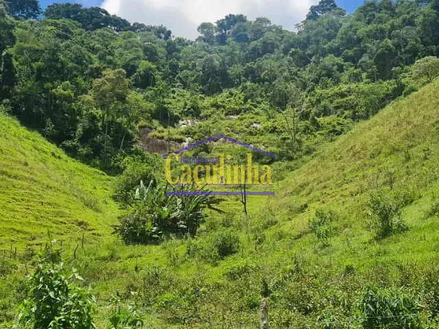 Sítio com 60300m², à venda, no bairro Ipiabas em Barra do Piraí