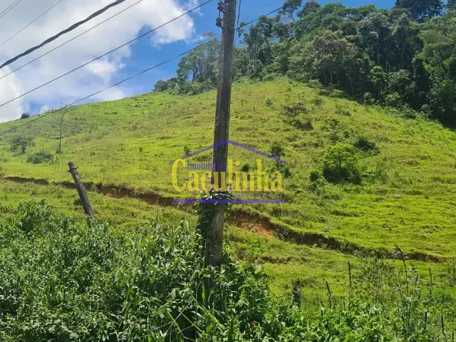 Sítio com 60300m², à venda, no bairro Ipiabas em Barra do Piraí