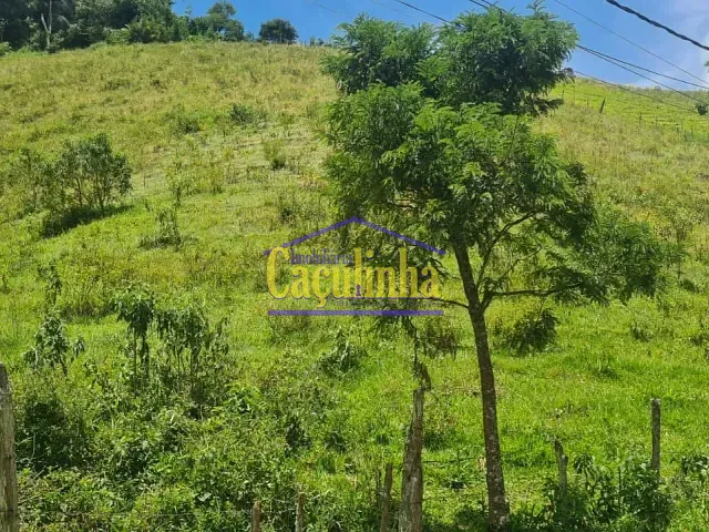 Sítio com 60300m², à venda, no bairro Ipiabas em Barra do Piraí