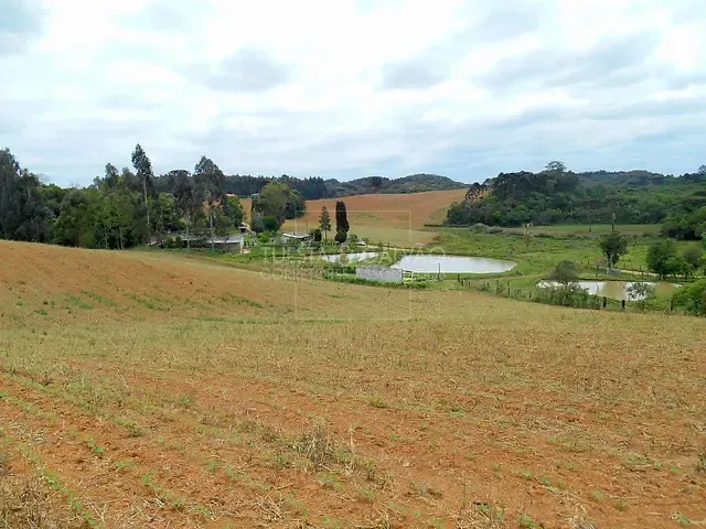 Sítio com 200m² 3 quartos e 2 banheiros, à venda, no bairro Areia Branca dos Assis em Mandirituba